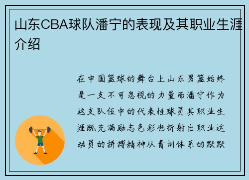 山东CBA球队潘宁的表现及其职业生涯介绍